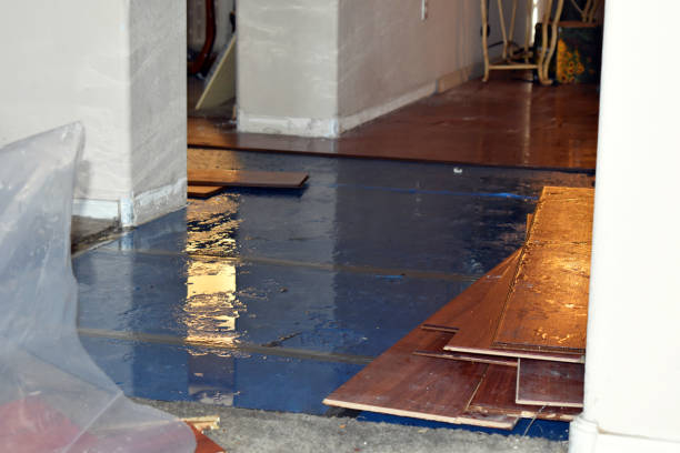 Professional Water Removal technician working in East Baldwin, ME